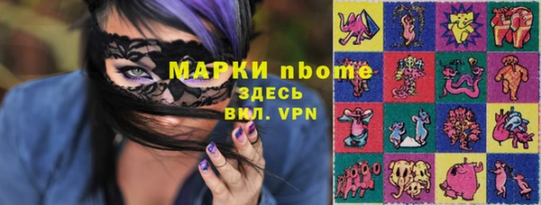 твердый Абаза