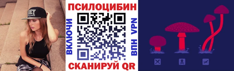 закладка  Ростов-на-Дону  Галлюциногенные грибы прущие грибы 